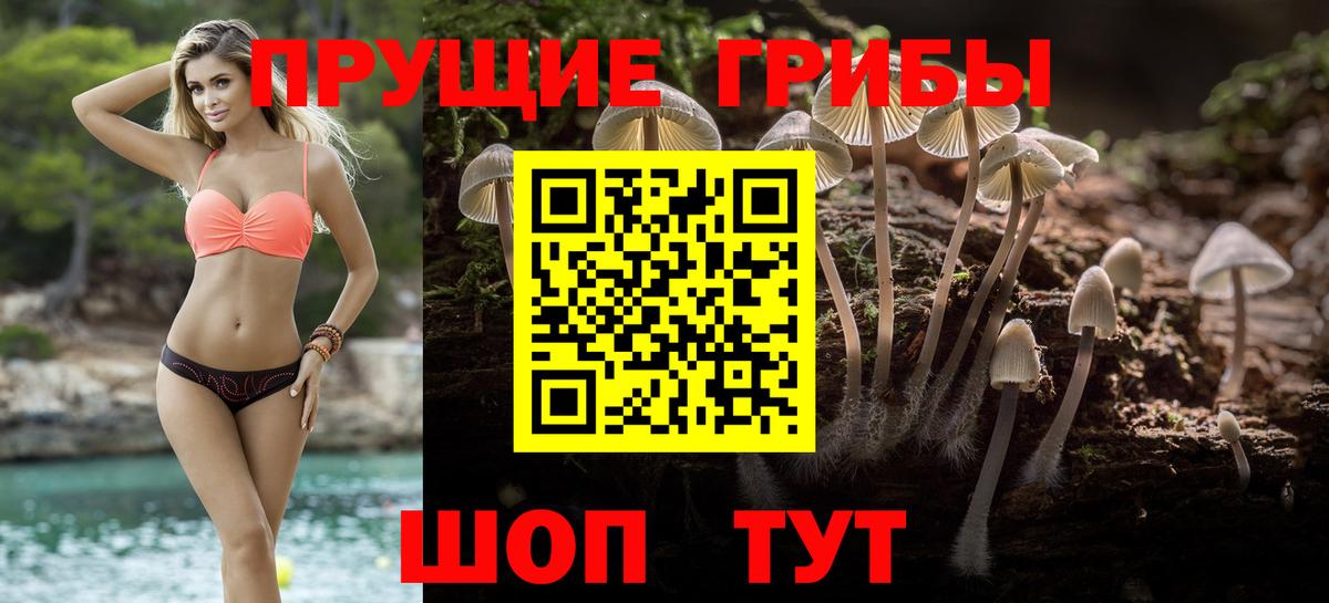 Галлюциногенные грибы ЛСД Протвино