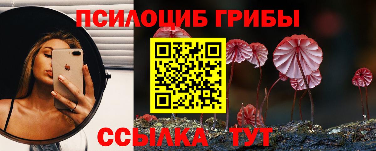 Галлюциногенные грибы мухоморы  Вход с VPN  Протвино  Галлюциногенные грибы мухоморы 